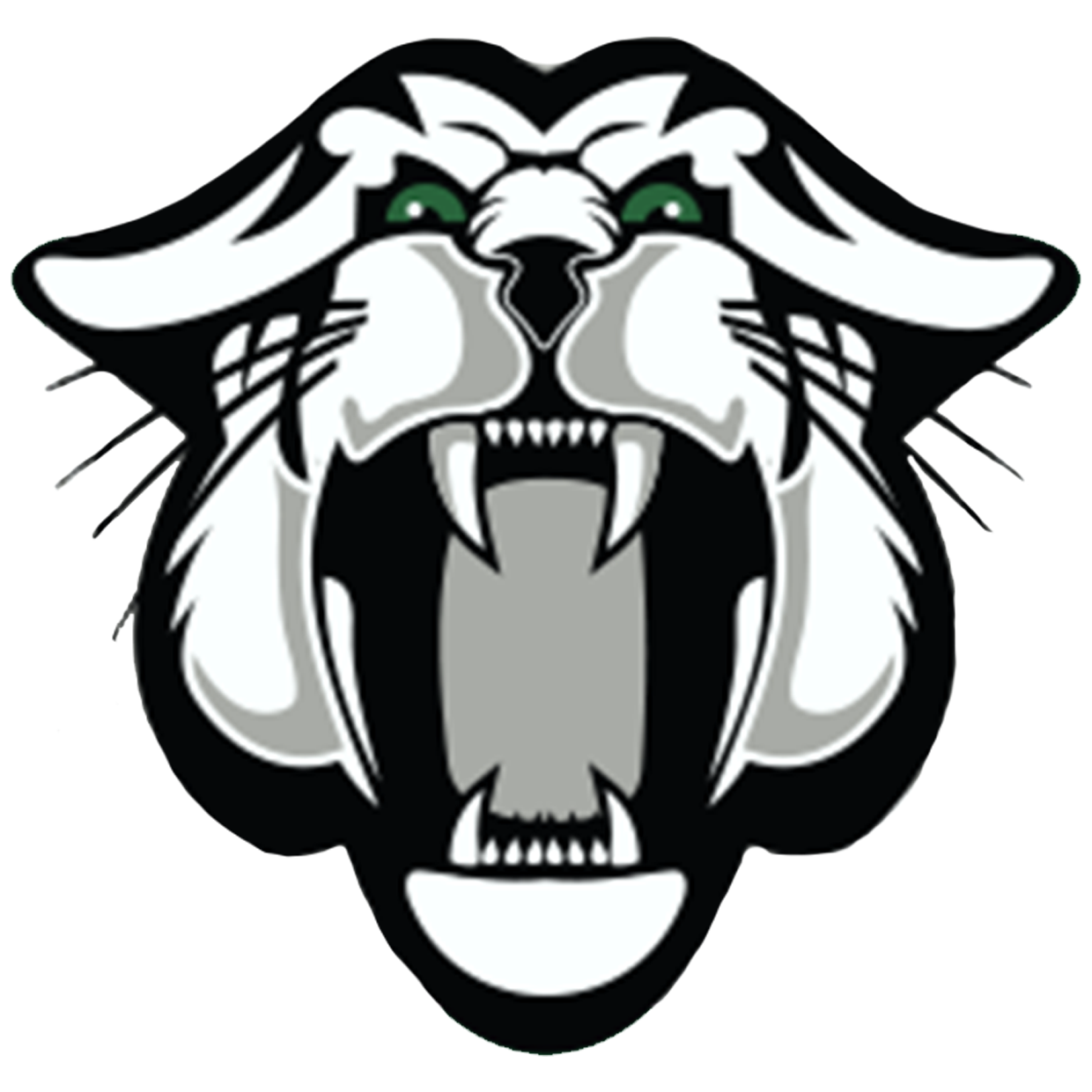Kaiser