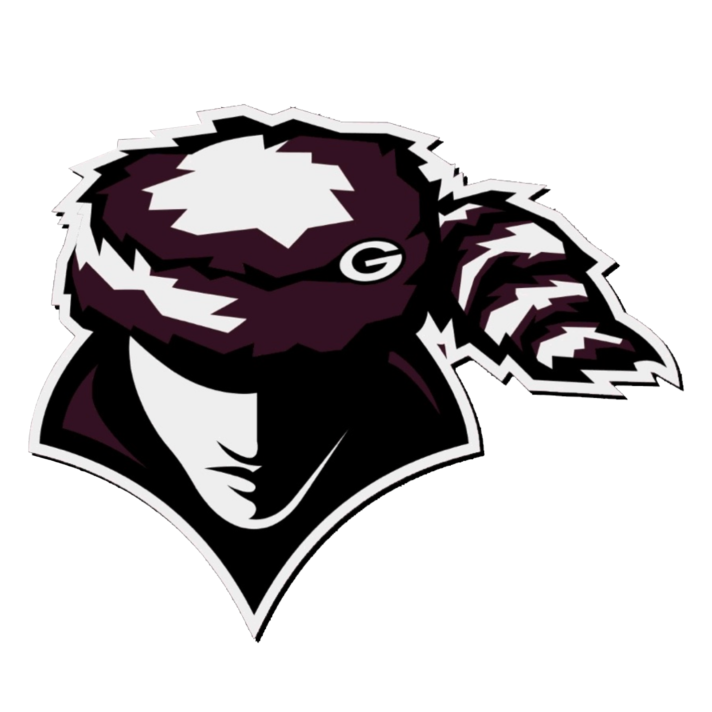 Gentry Pioneers Football Gentry, AR