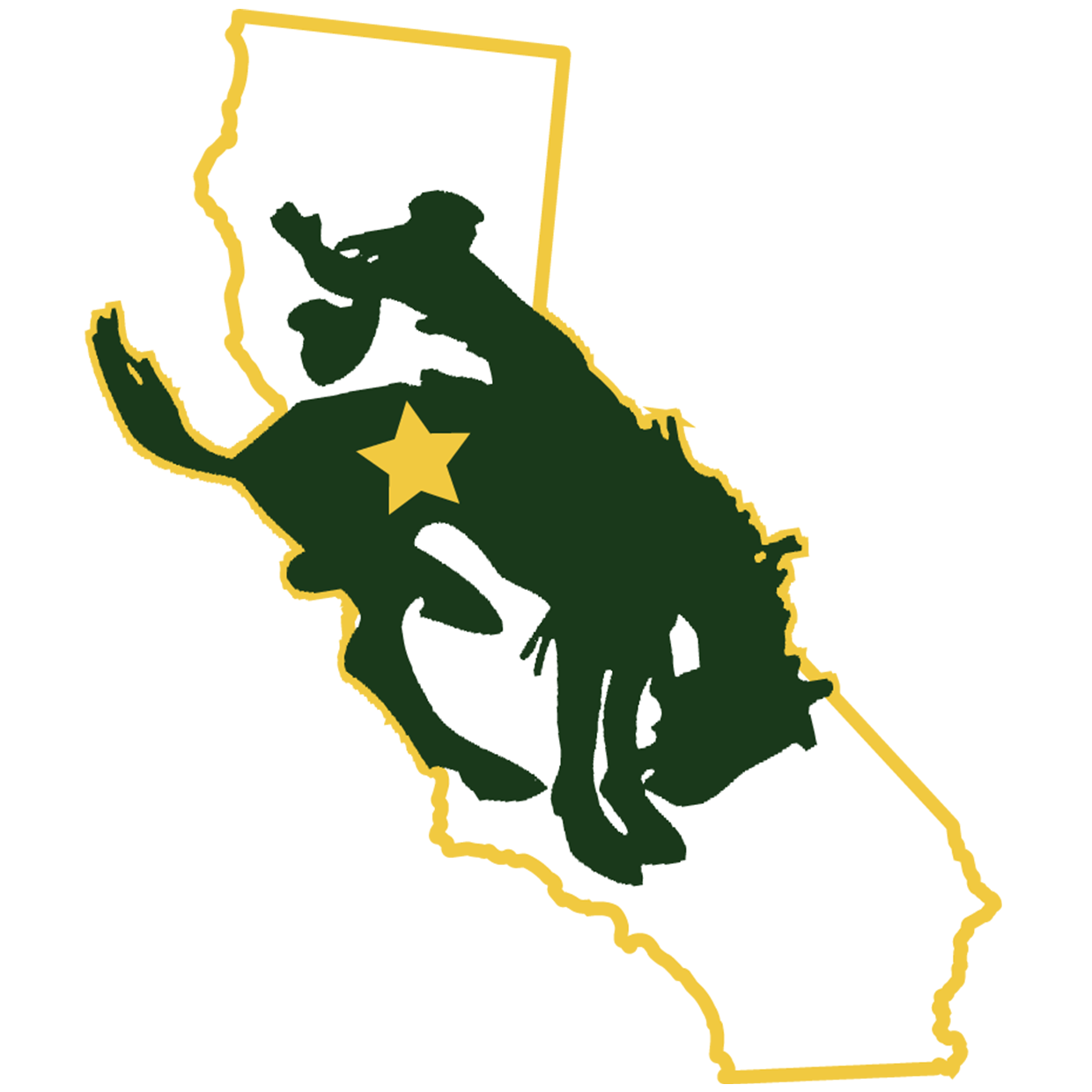 Livermore Cowboys Boys Water Polo Livermore, CA