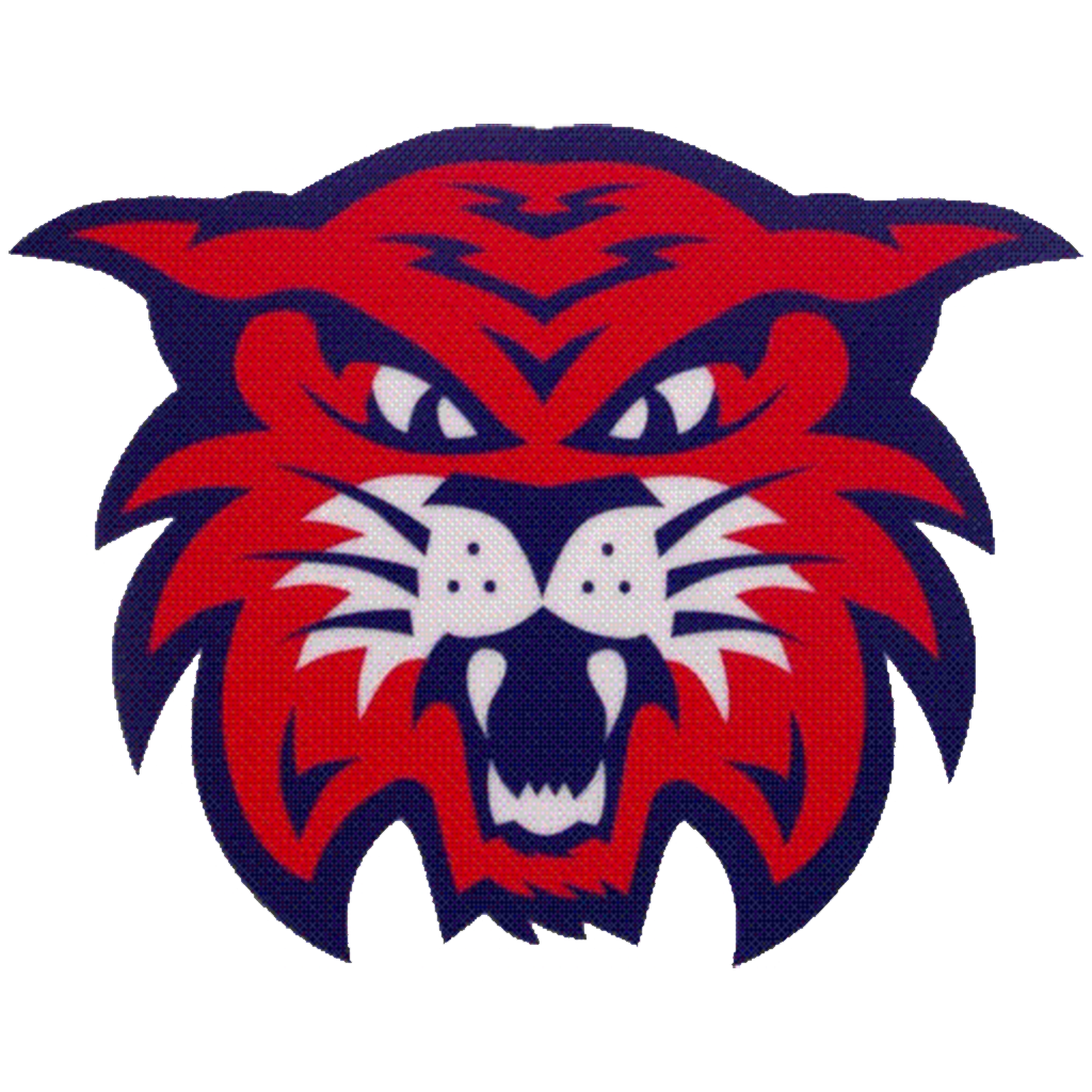Mayer High School Mayer AZ Scorebooklive dr-mayer-psychotherapist