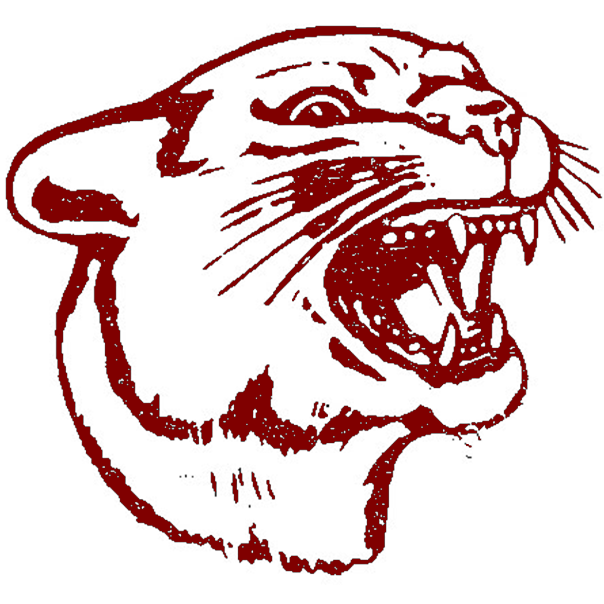 South Decatur Cougars Football Greensburg, IN