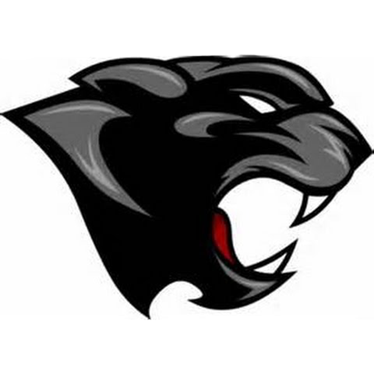 Proviso West Panthers Freshman Football Hillside, IL