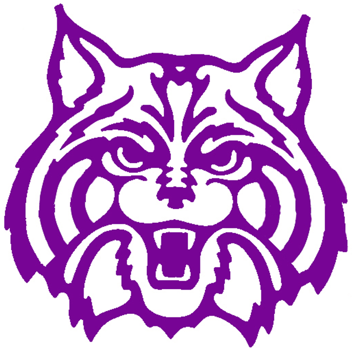 Hammond Wildcats Football Hammond, IN