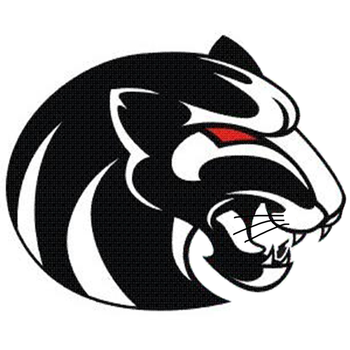 NorthWood Panthers Boys Basketball Nappanee, IN