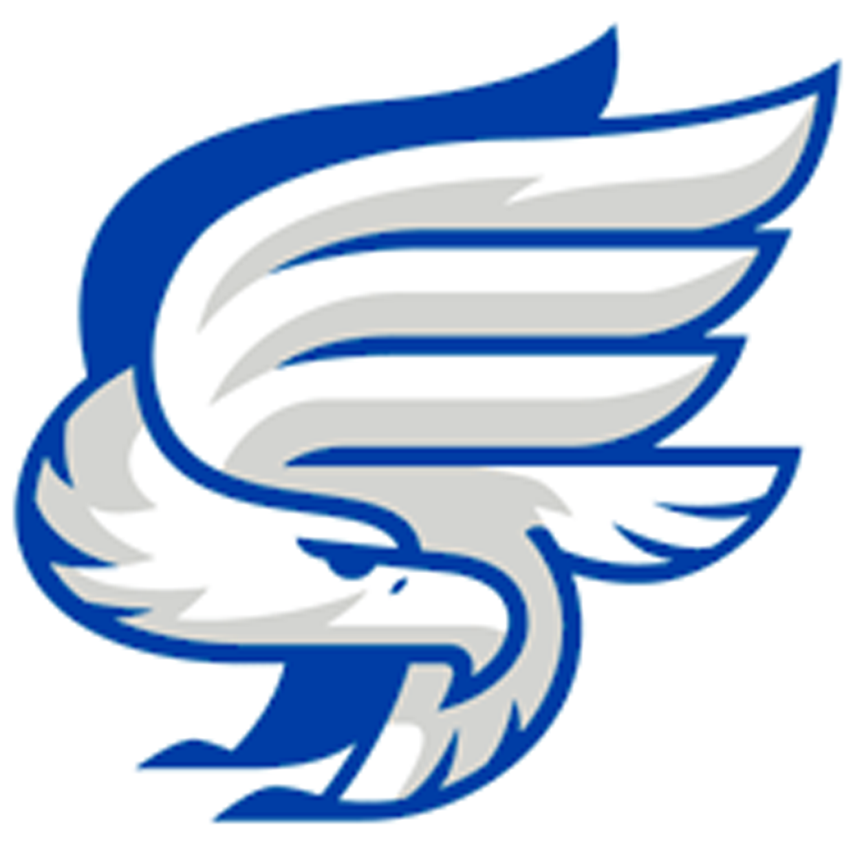 East Central Eagles Boys Basketball Sandstone, MN