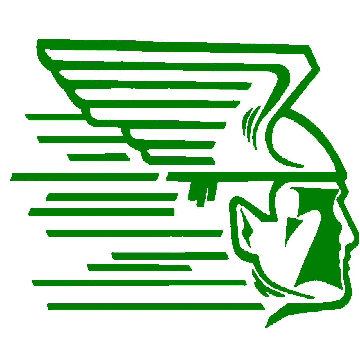 Baylie Jo Norris Greenway Raiders Girls Basketball Coleraine, MN