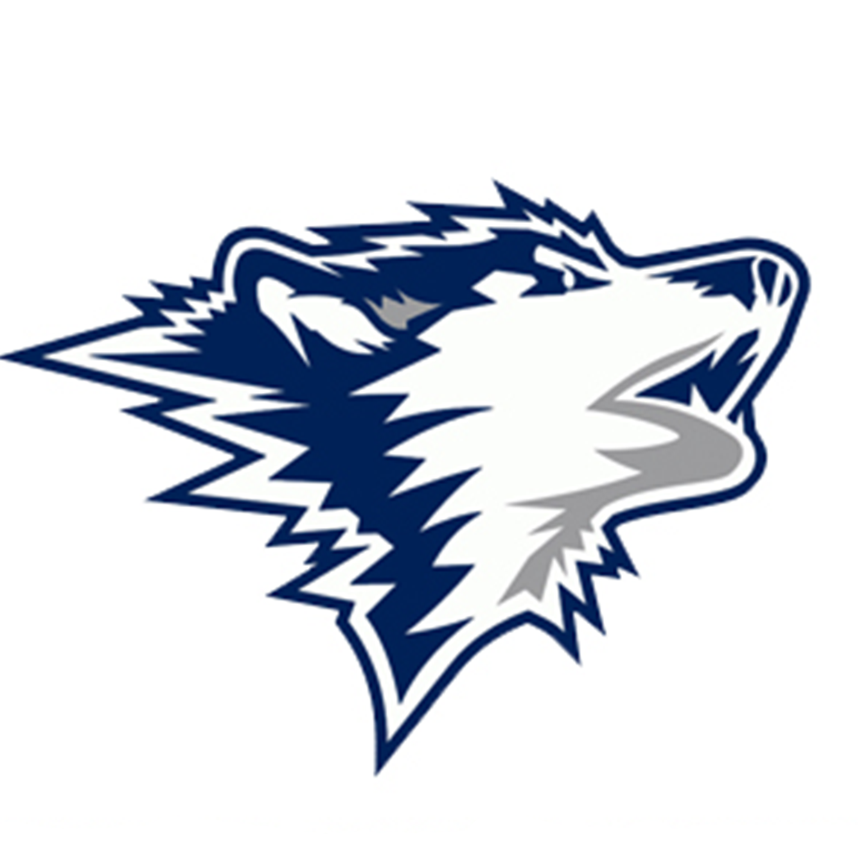 Jackson County Central Huskies Football Jackson, MN