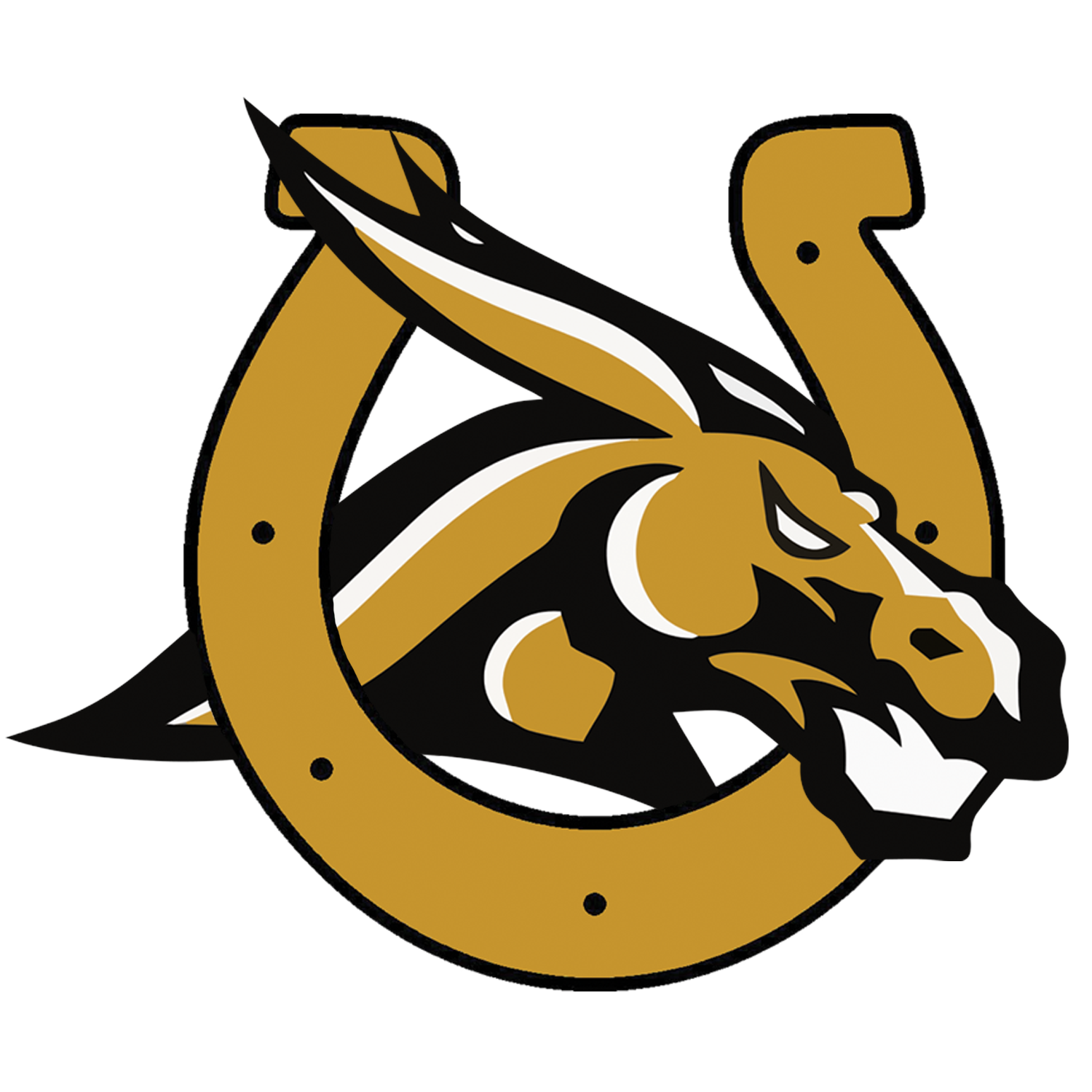 Coaches Lathrop Mules Football Lathrop, MO