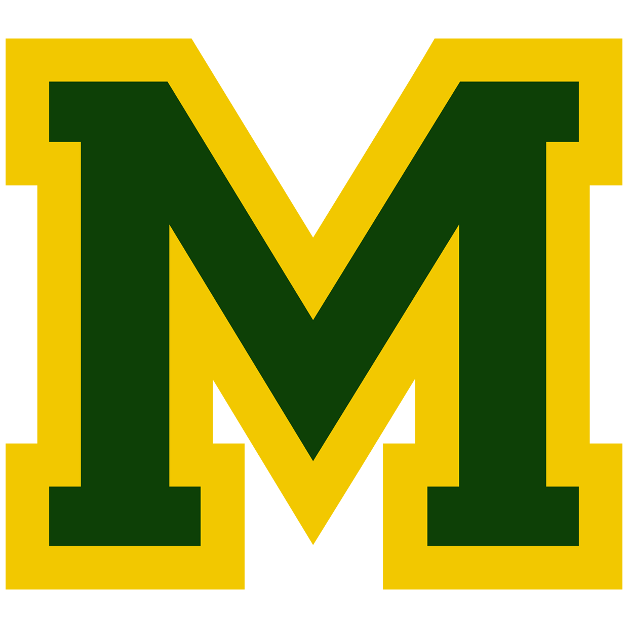 McBain vs Iron Mountain Boys Basketball Apr 6, 2021 SBLive