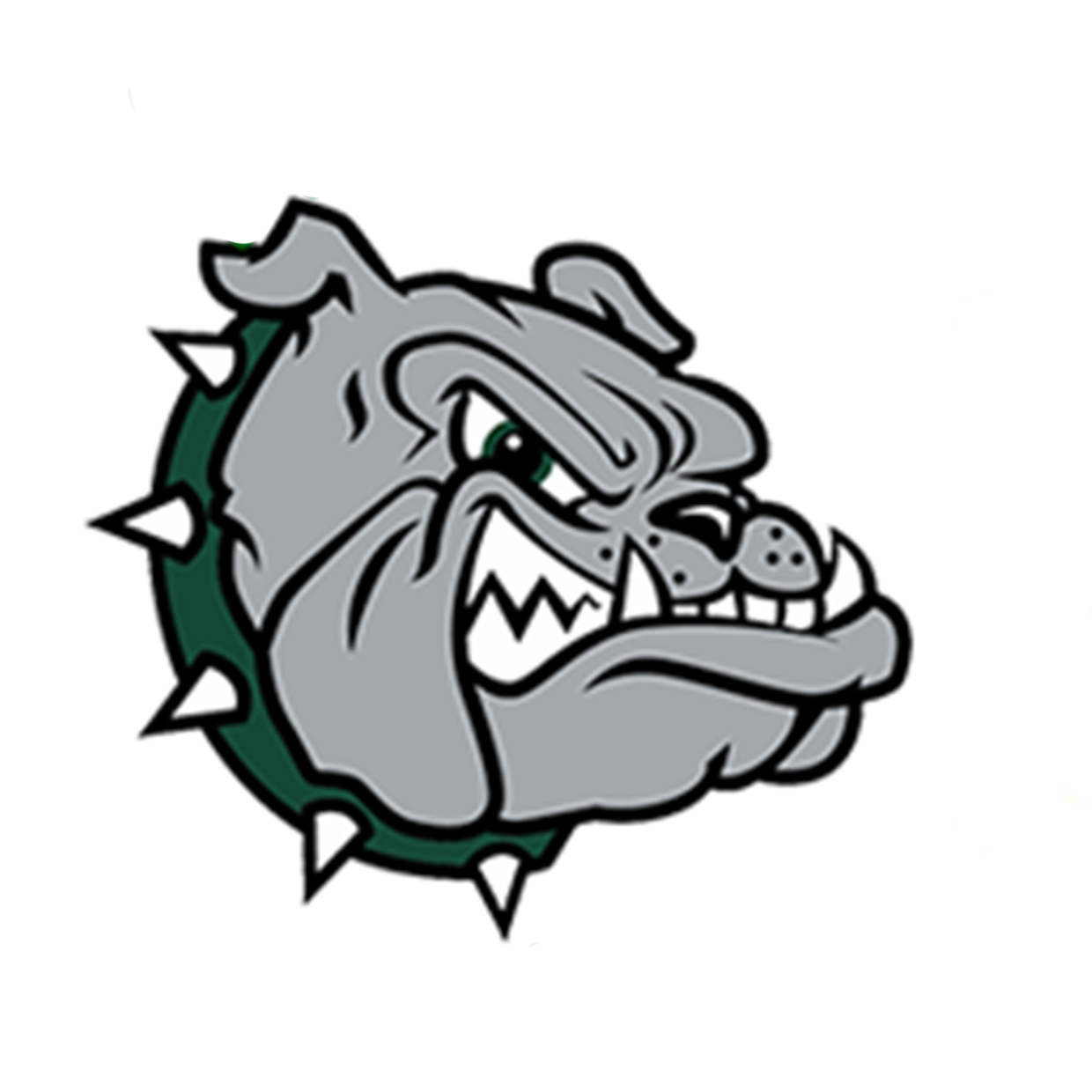 Royalton Girls Varsity Basketball Schedule Scorebook Live