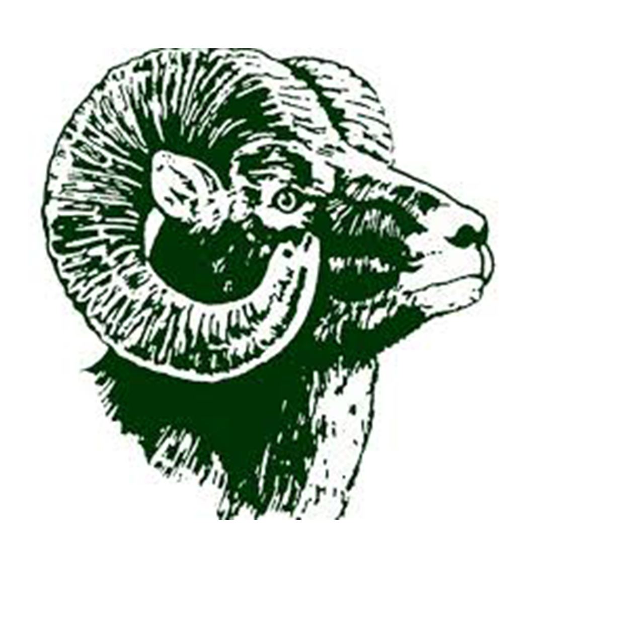 Roseau Rams Girls Basketball Roseau, MN