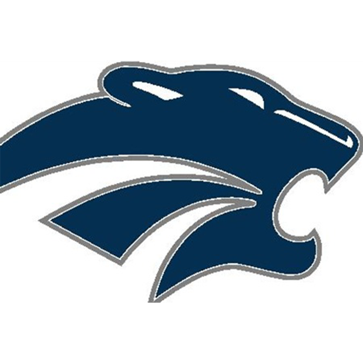 ZumbrotaMazeppa Cougars Boys Basketball Zumbrota, MN SBLive