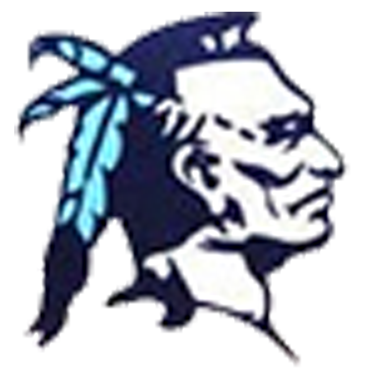 Adena Warriors Softball Frankfort, OH SBLive