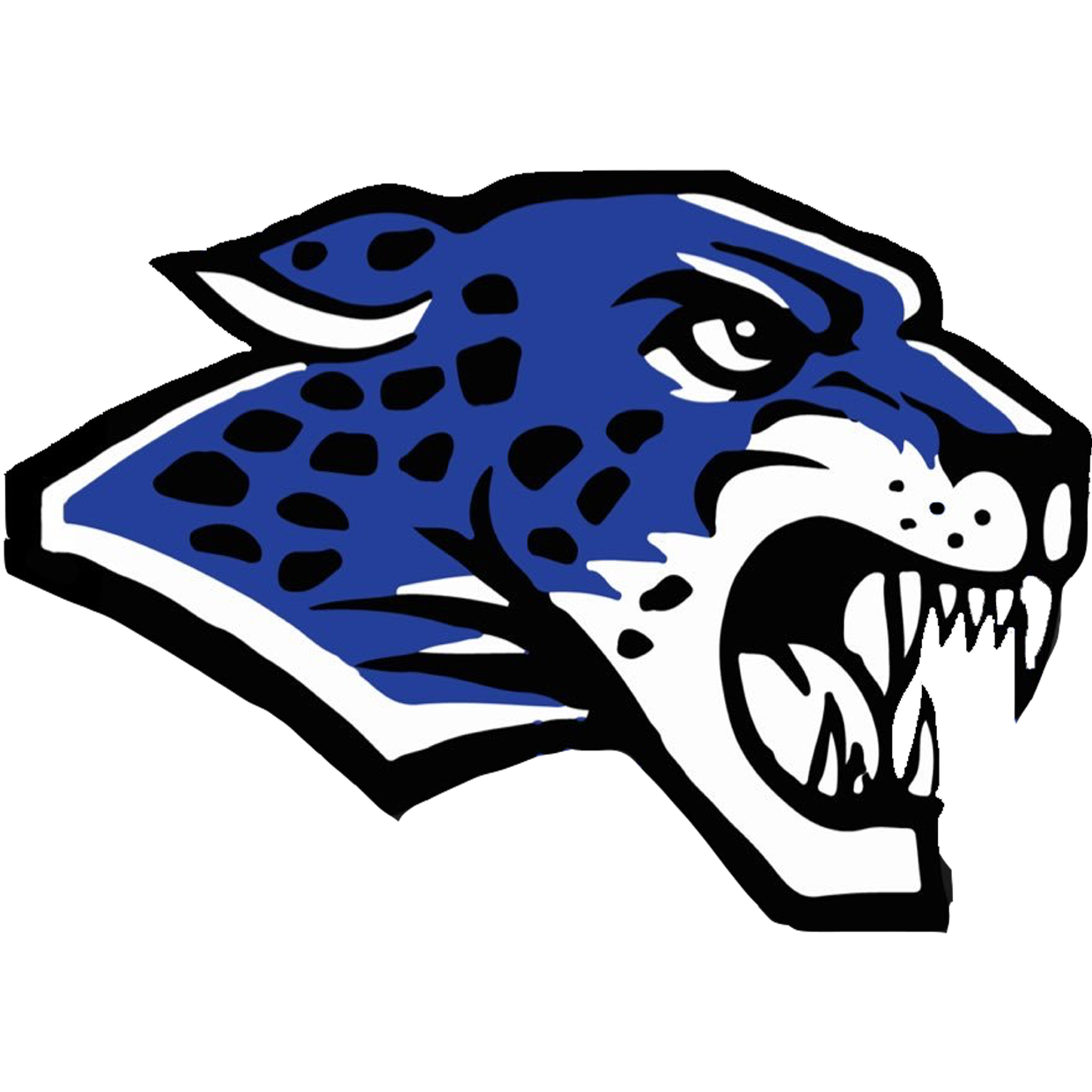 Desert Pines