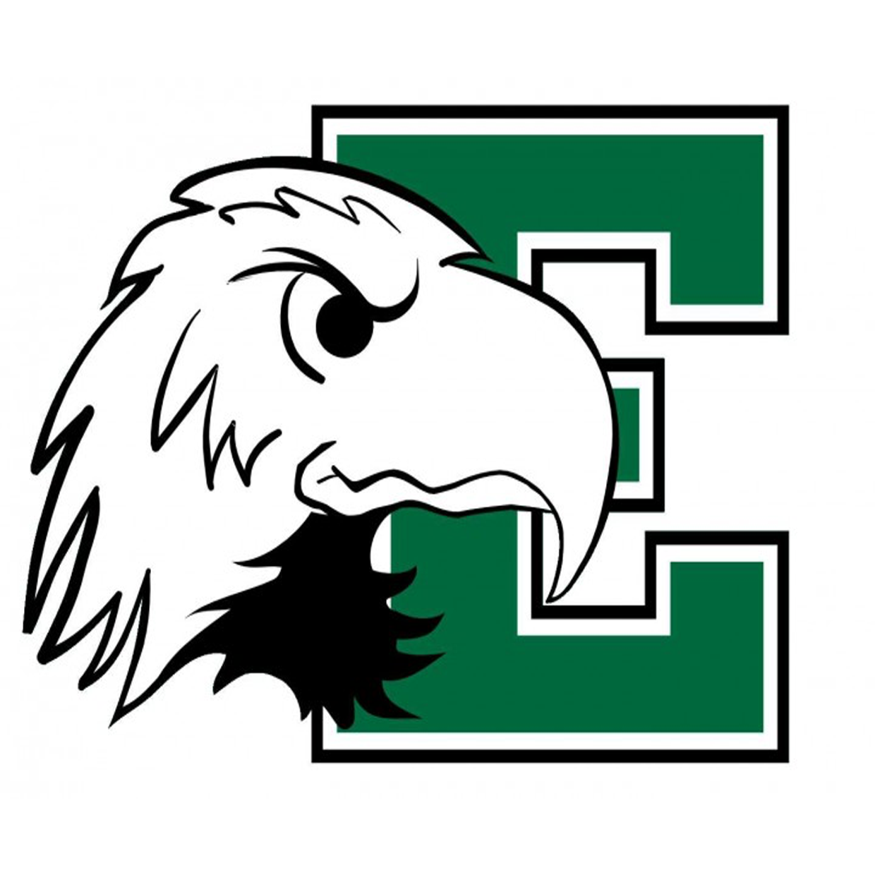 Eastern Eagles Boys Basketball Reedsville OH SBLive