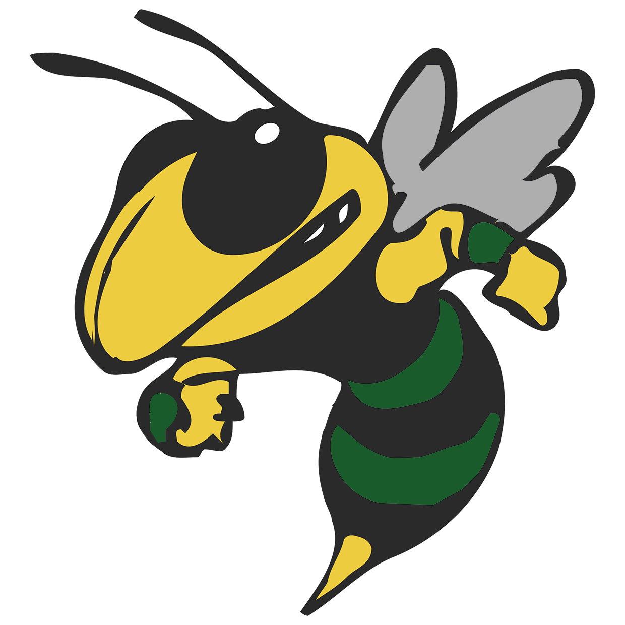 Bessemer City Yellowjackets Football Bessemer City, NC SBLive