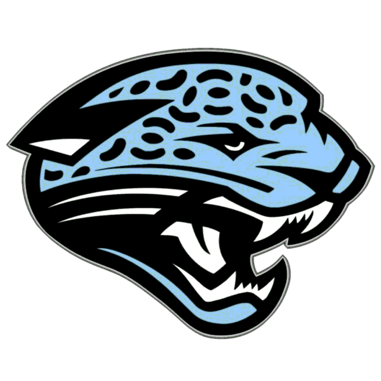 Overhills Jaguars Football Spring Lake, NC