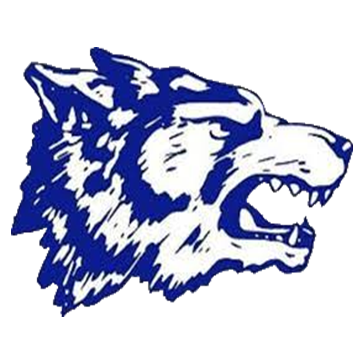 West Morris Central Wolfpack Junior Varsity Girls Soccer Chester, NJ