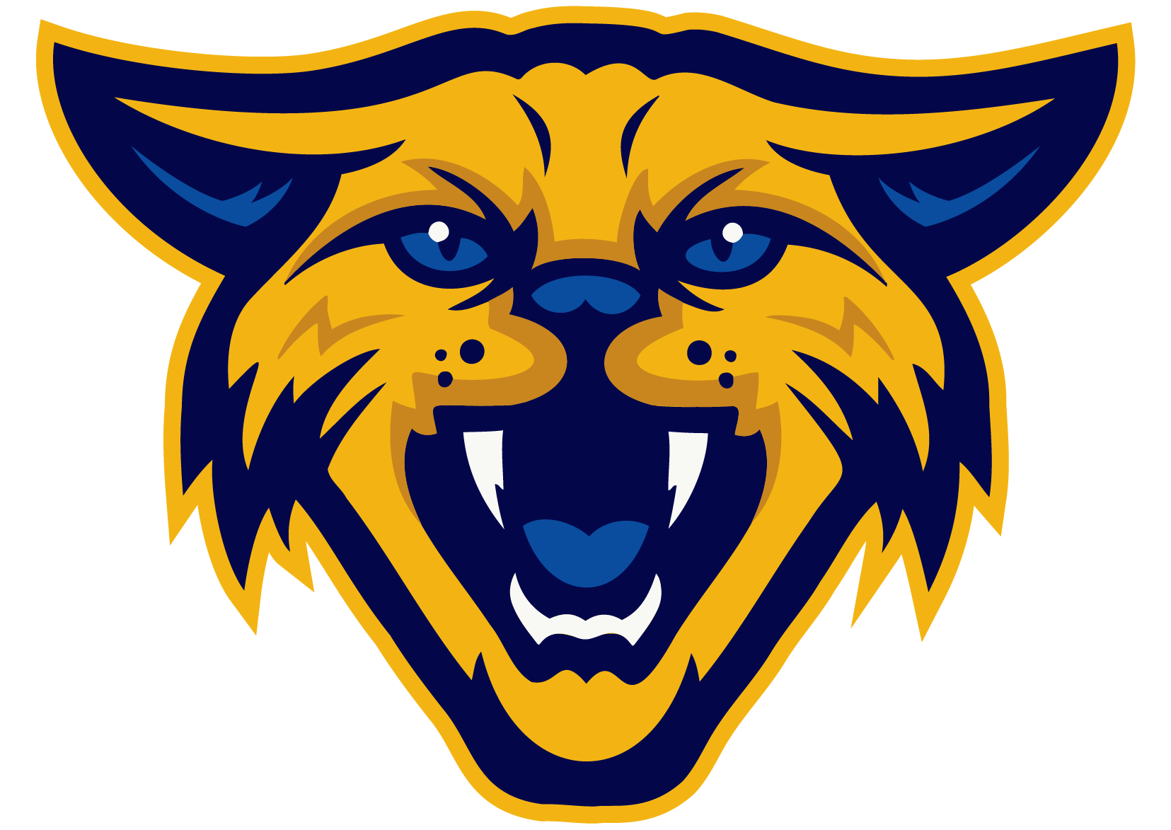 Sunray Bobcats Football Sunray, TX