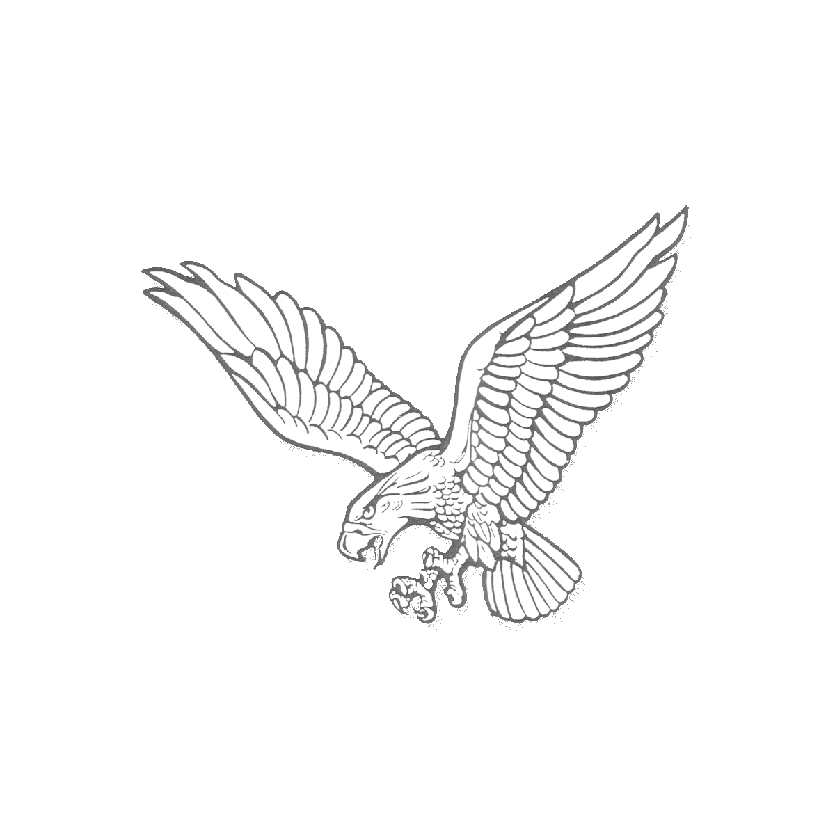 Hustisford Falcons Junior Varsity Girls Volleyball Hustisford, WI