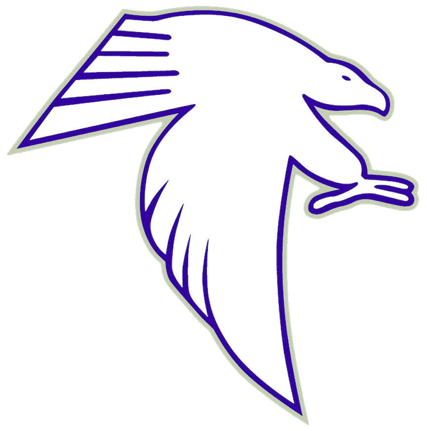 whitnall-falcons-boys-basketball-greenfield-wi-scorebooklive
