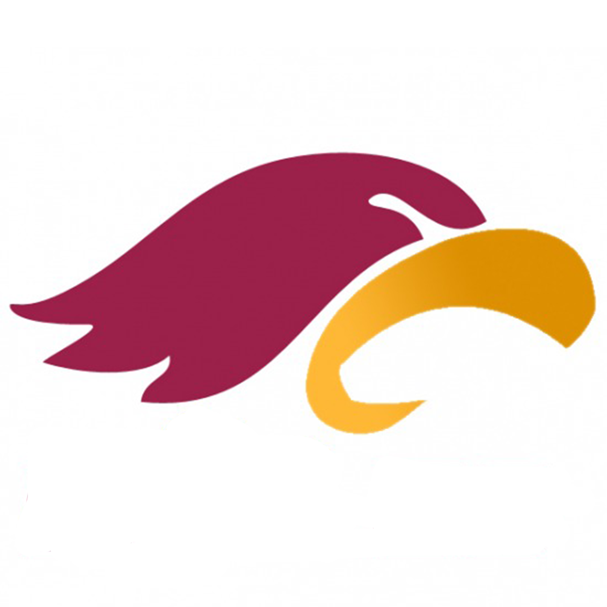 Grace Academy Eagles Boys Soccer Marysville, WA