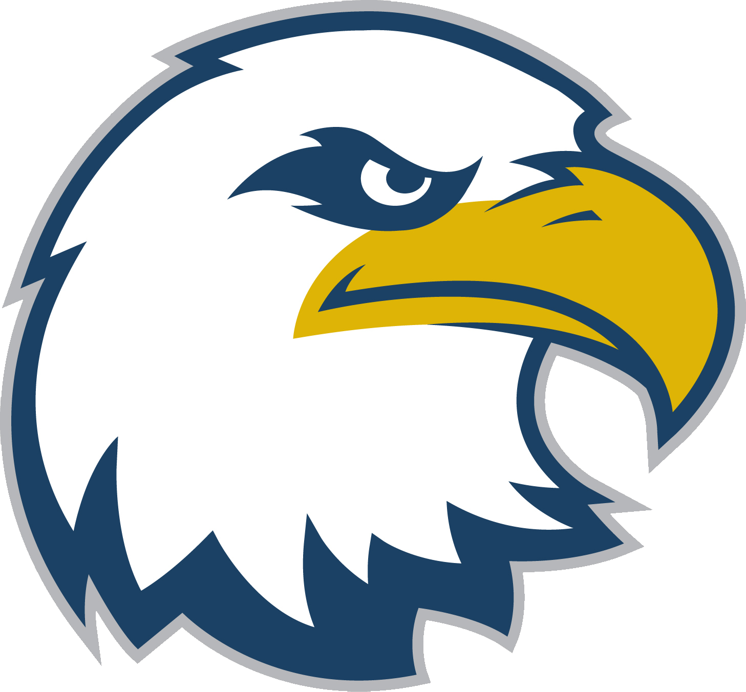 Olathe North Eagles Girls Basketball Olathe KS Scorebooklive