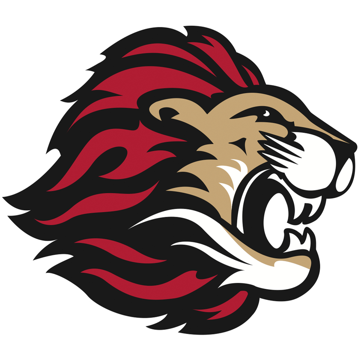 Spring Grove Lions Boys Basketball Spring Grove, MN