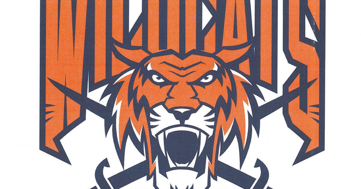 Central Clarion (Clarion/ClarionLimestone/North Clarion) Wildcats Boys