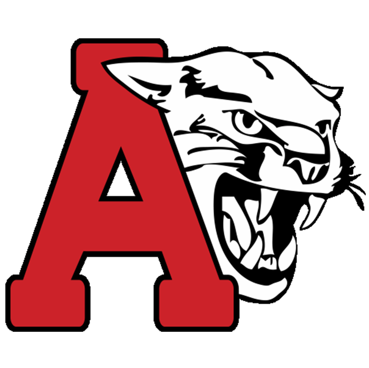 Albany cougars Albany cougars