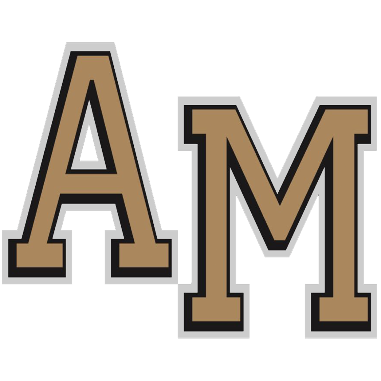 Archbishop Mitty